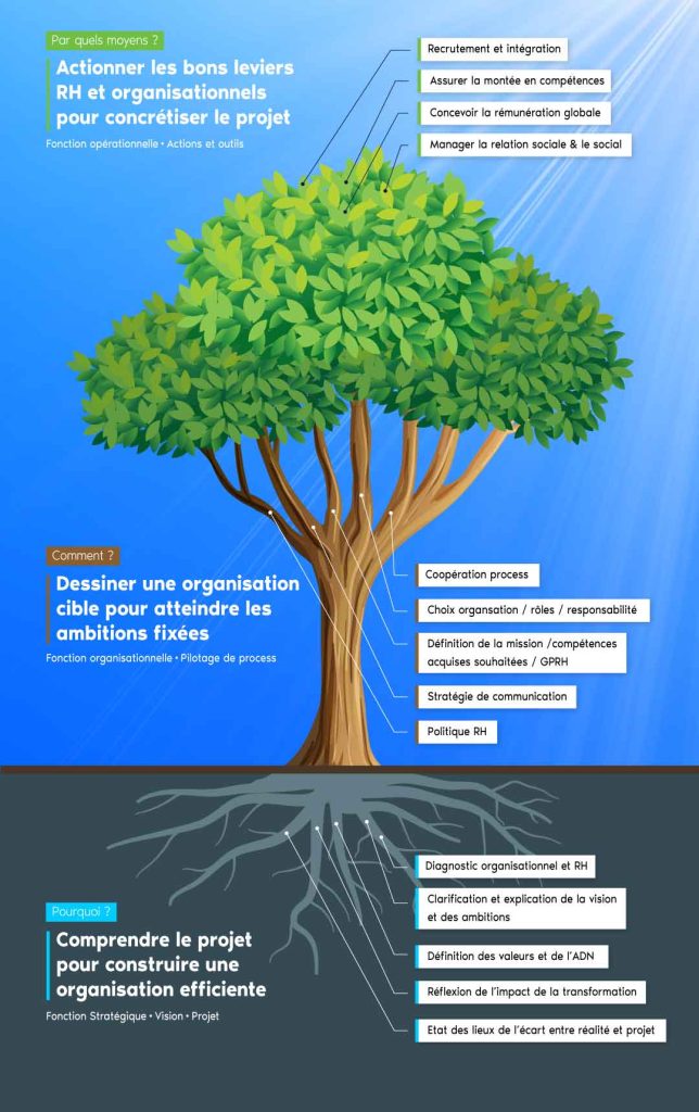 Schéma de l'arbre de la méthodologie Kohérence