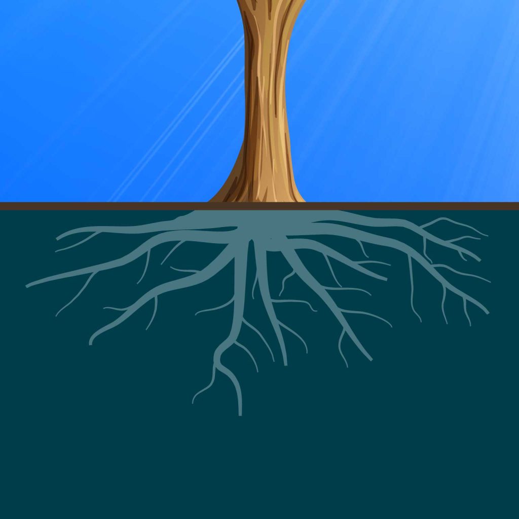 racine arbre méthodologie Kohérence
