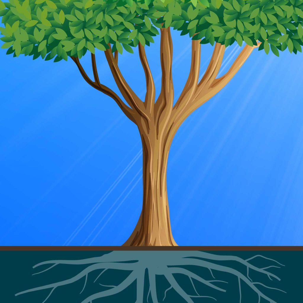 tronc arbre méthodologie Kohérence
