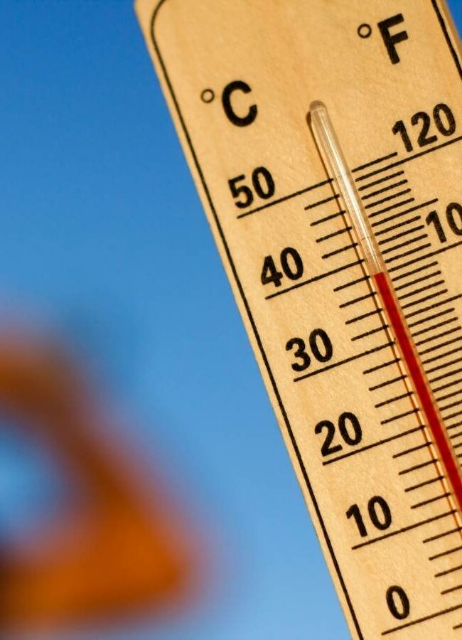 Canicule - prévention des risques en entreprise