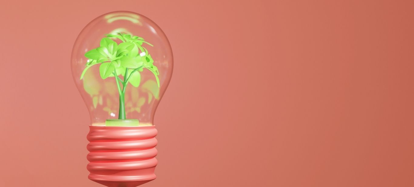RSE en entreprise transitions PME